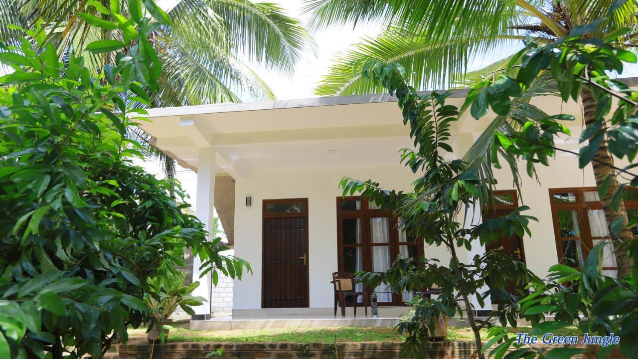 The Green Jungle Dambulla Bagian luar foto