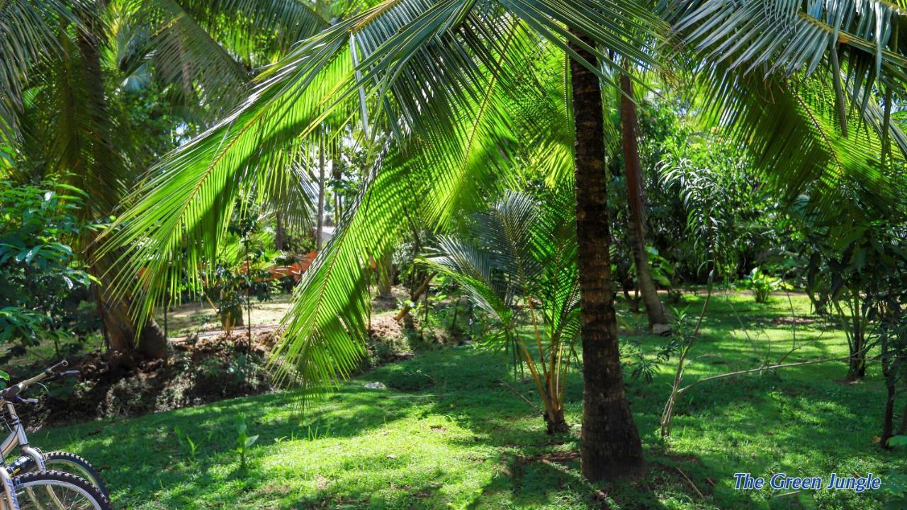 The Green Jungle Dambulla Bagian luar foto
