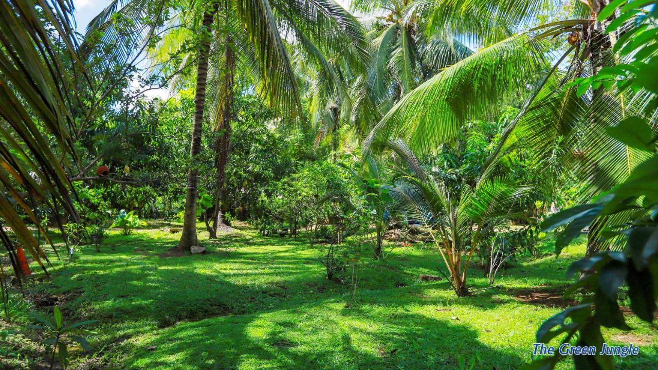 The Green Jungle Dambulla Bagian luar foto