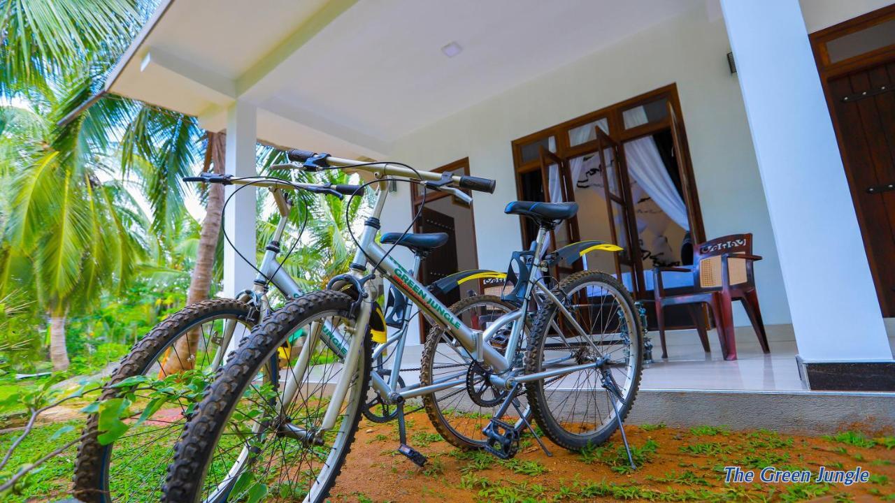 The Green Jungle Dambulla Bagian luar foto
