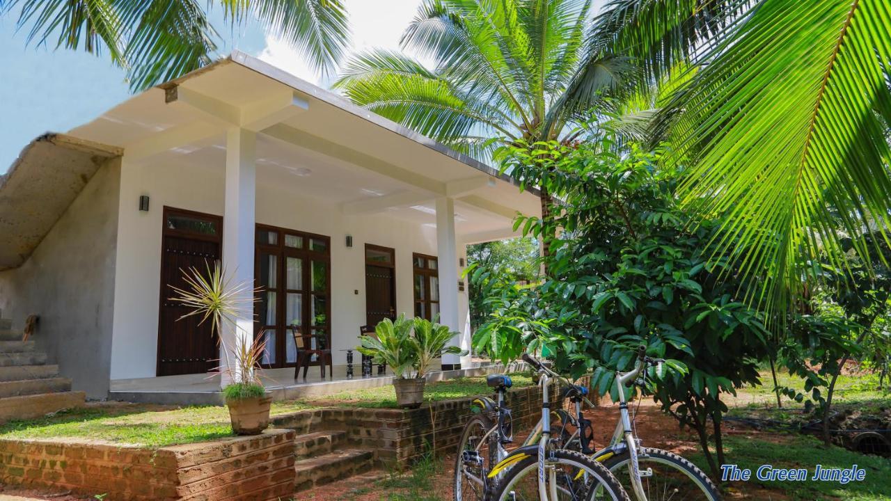 The Green Jungle Dambulla Bagian luar foto