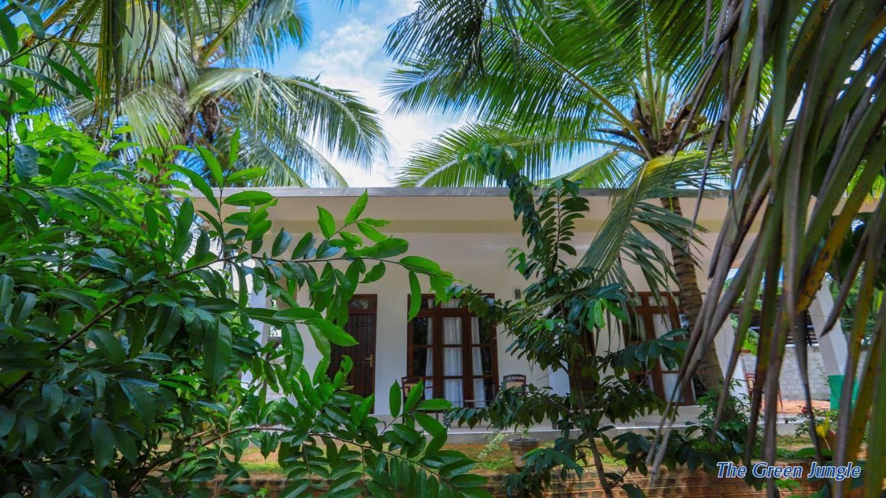 The Green Jungle Dambulla Bagian luar foto
