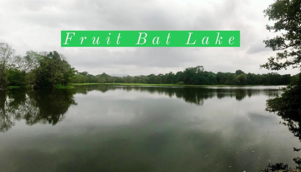 The Green Jungle Dambulla Bagian luar foto